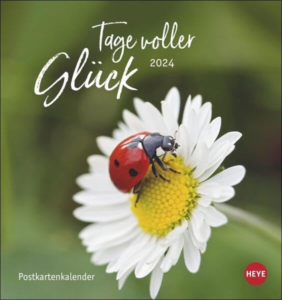Tage voller Glück Postkartenkalender 2024. Kalender mit Postkarten zum Sammeln oder Verschicken. Inspirierende Fotos mit Sprüchen. Fotokalender zum Aufstellen oder Aufhängen. Calendars
