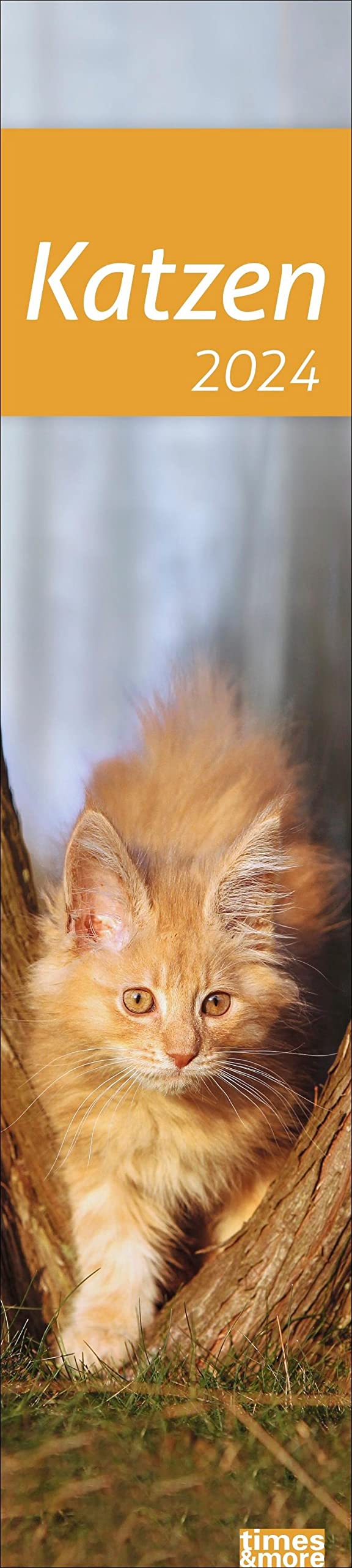 Katzen Langplaner 2024. Immer alle Termine im Blick mit dem Streifen-Kalender für Büro und Zuhause. Süße Katzenfotos in einem praktischen Terminplaner. Pets