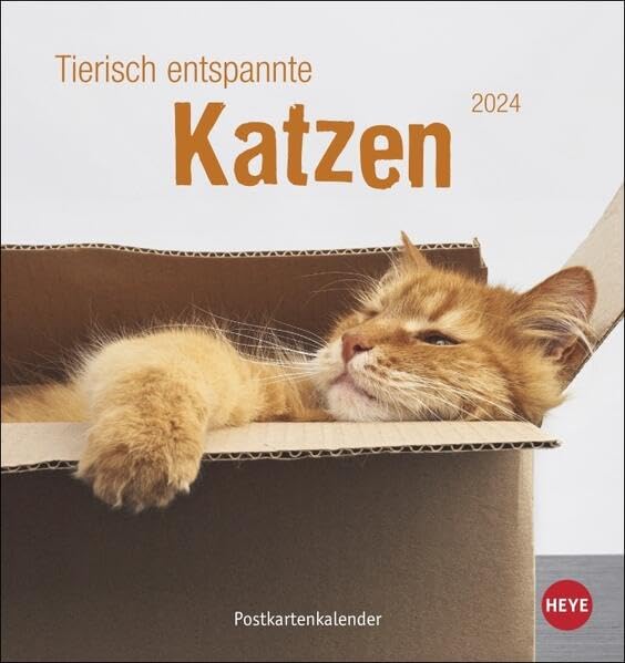 Tierisch entspannte Katzen Postkartenkalender 2024. Witzige Fotos verschlafender Stubentiger in einem Tischkalender zum Aufstellen oder Aufhängen. Kleiner Kalender 2024 für Katzenfans. Pets