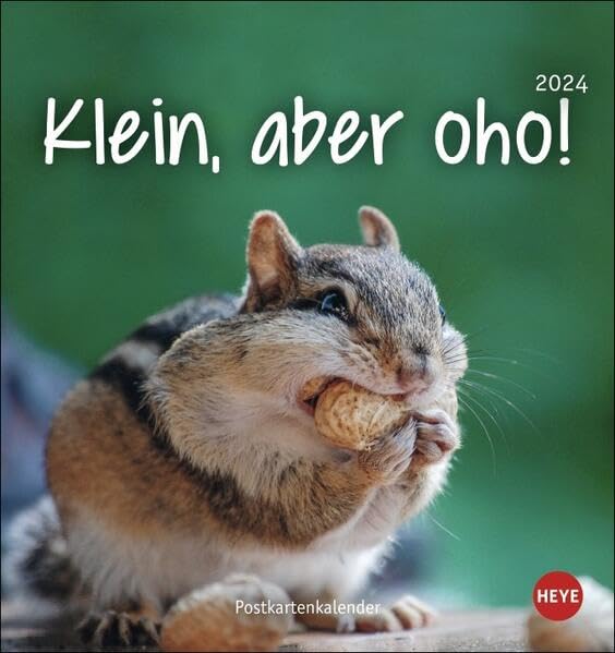 Klein, aber oho! Postkarten-Kalender 2024. Von Igel über Quokka bis Waschbär: Tierkalender zum Sammeln und Verschicken. Kleiner Monats-Tischkalender zum Aufstellen oder Aufhängen. book