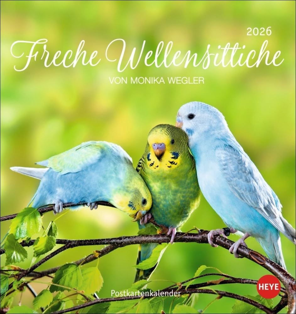 Freche Wellensittiche Postkartenkalender 2026: Die bunten Vögel in einem kleinen Kalender zum Aufstellen und Aufhängen. Perforierter ... von Monika Wegler. (Postkartenkalender Heye) Pets