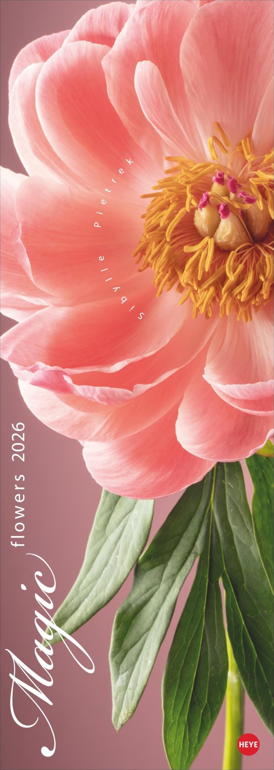 Magic Flowers Vertical Kalender 2026: Langer Wandkalender mit farbenprächtigen Blumen-Fotos. Dekorativer XL Kalender vertikal mit beeindruckenden Blüten. 25 x 69 cm. Hobbies & Crafts
