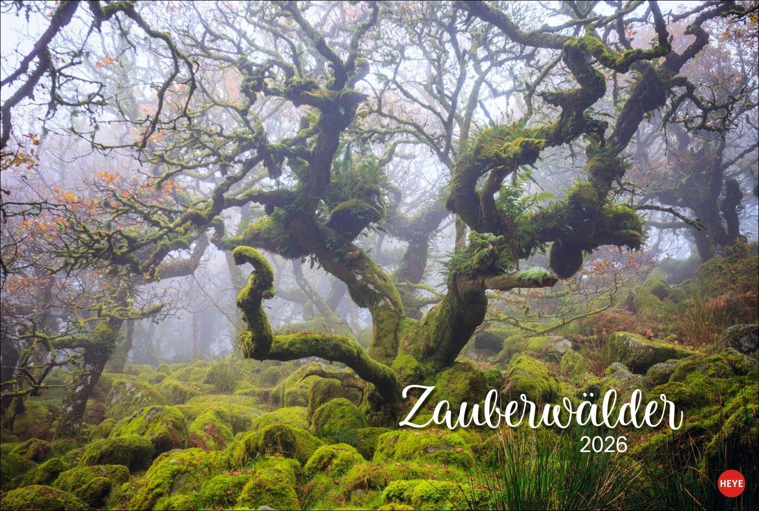 Zauberwälder Edition Kalender 2026: Wandkalender XL mit Fotos verwunschener Wälder und Lichtungen. Kalender-Großformat mit hochwertigen und geheimnisvollen Fotos. Leisure, Home & Garden