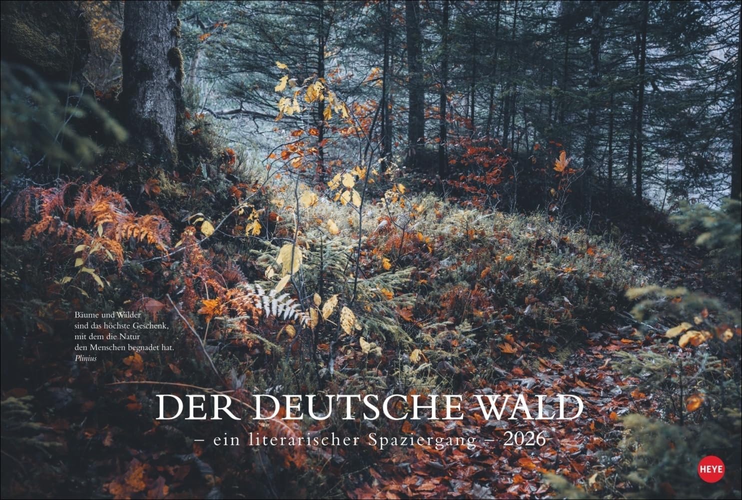 Der deutsche Wald - Ein literarischer Spaziergang Kalender 2026: Inspirierende Fotos deutscher Wälder mit Zitaten bekannter Klassiker. Großer Wandkalender 2026. Calendars