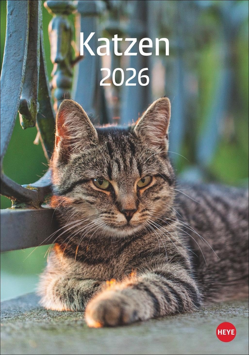 Katzen Kalender 2026: Die beliebten Samtpfoten in einem Wandkalender 2026 zum Eintragen. Dekorativer Kalender mit viel Raum für Termine und Organisatorisches. Pets