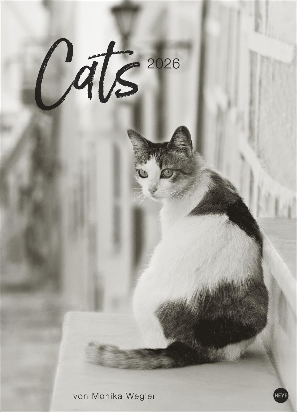 Cats Edition Kalender 2026: Elegante Samtpfoten in schwarz-weiß in einem XXL-Kalender. Tierkalender 2026 im Großformat. Hochwertiger großer Fotokalender für Katzenfans. Travel Books