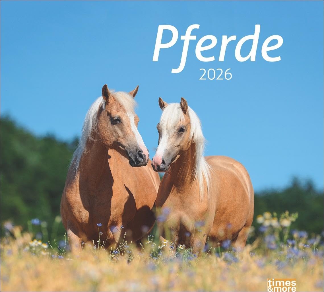 times&more Pferde Bildkalender 2026: times&more Tierkalender für Pferdefreunde. Kalender mit spektakulären Fotos edler Pferde. Wand-Kalender 2026. (times&more Kalender Heye) Pets