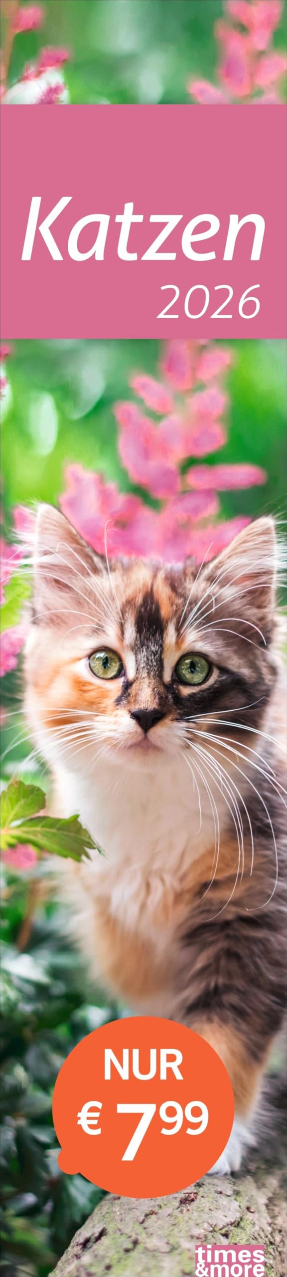 times&more Katzen Langplaner 2026: Immer alle Termine im Blick mit dem Streifen-Kalender für Büro und Zuhause. Süße Katzenfotos in einem praktischen ... - times&more (Streifenplaner Kalender Heye) Pets
