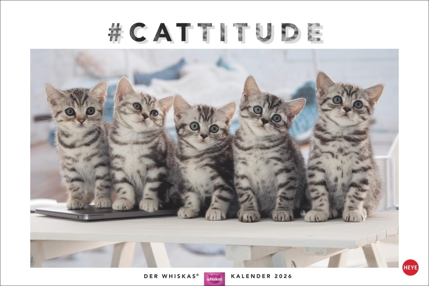 Whiskas Katzenkalender 2026: Foto-Wandkalender mit süßen Katzen und lustigen Geschichten. Wandkalender 2026 in schönem Design. Bildkalender 2026. Querformat 45 x 30 cm. Pets