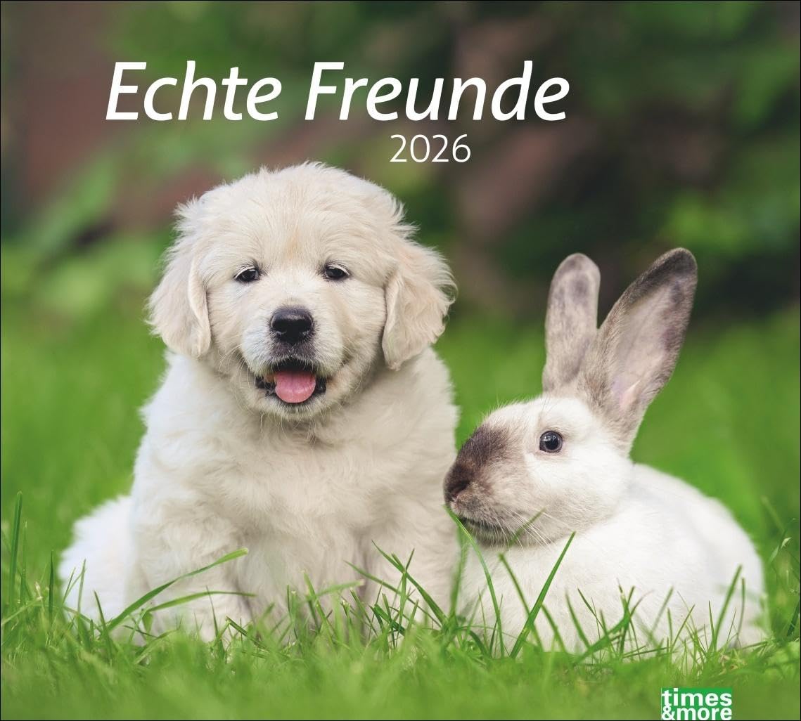 times&more Echte Freunde Bildkalender 2026: Süße Tierfreundschaften in einem Kalender. Hochwertiger Fotokalender für Tierfreunde. times&more Wandkalender im Querformat. (times&more Kalender Heye) Pets