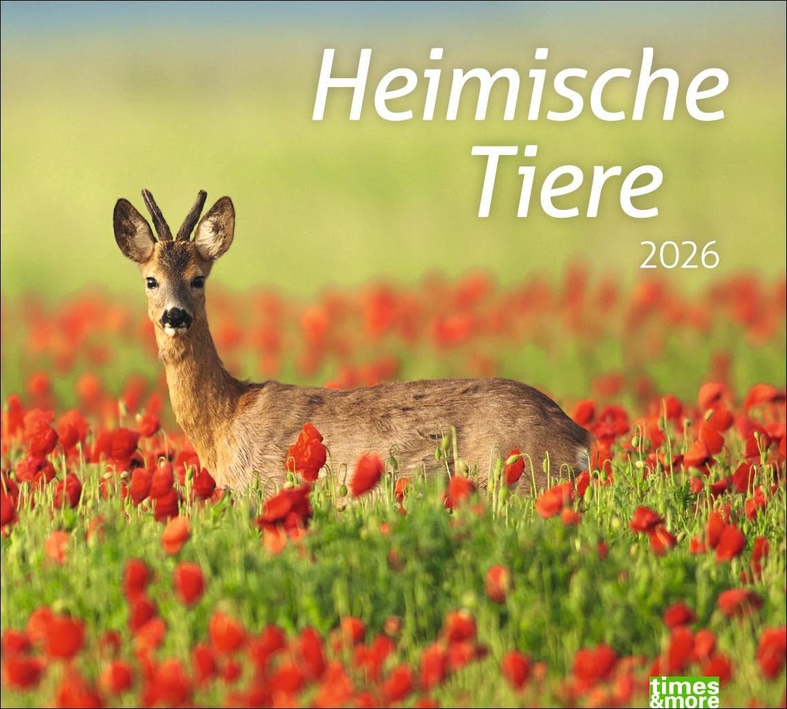 times&more Heimische Tiere Bildkalender 2026: In diesem dekorativen Kalender finden sich die Bewohner heimischer Wiesen und Wälder. Ein times&more ... Tierfotos. (times&more Kalender Heye) Pets