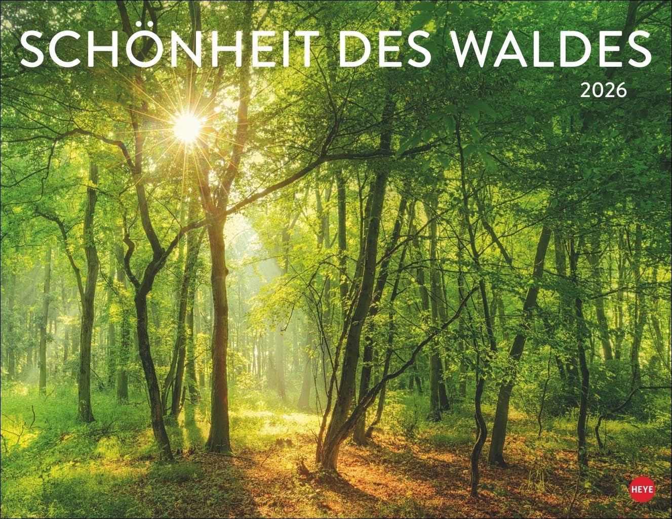 Schönheit des Waldes Posterkalender 2026: Eine mystische Reise durch die Welt der Bäume: Landschafts-Kalender im Großformat 44 x 34 cm, der Ruhe und Gelassenheit ausstrahlt Photography