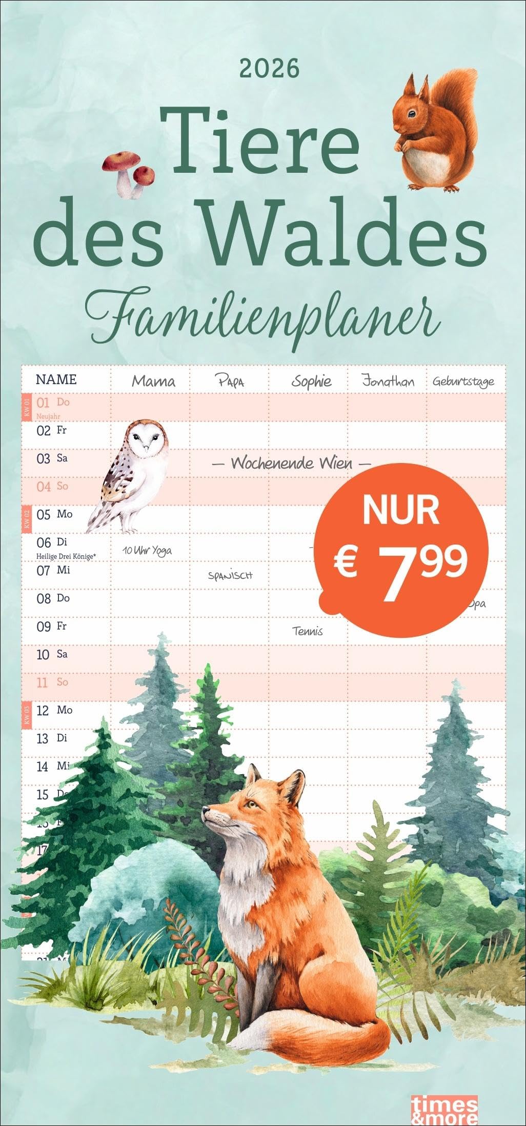 tm Tiere des Waldes Familienplaner 2026: Wandkalender 2026 zum Eintragen mit zauberhaft illustrierten Waldtieren. Familienkalender mit 5 Spalten Platz für alle wichtigen Termine (Familienplaner Heye) Contemporary literature Books