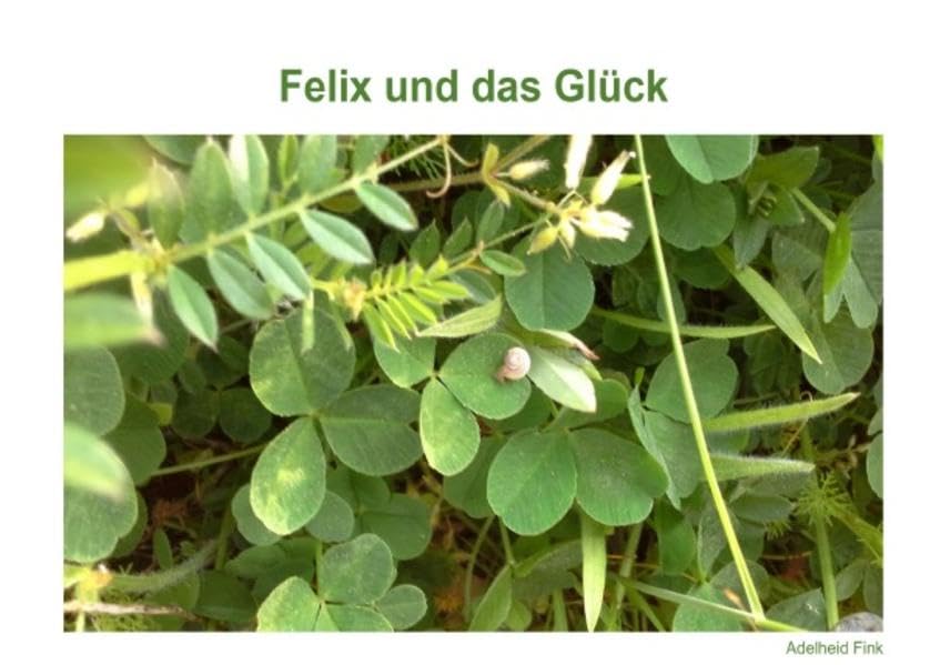 Felix und das Glück Religion & Esotericism