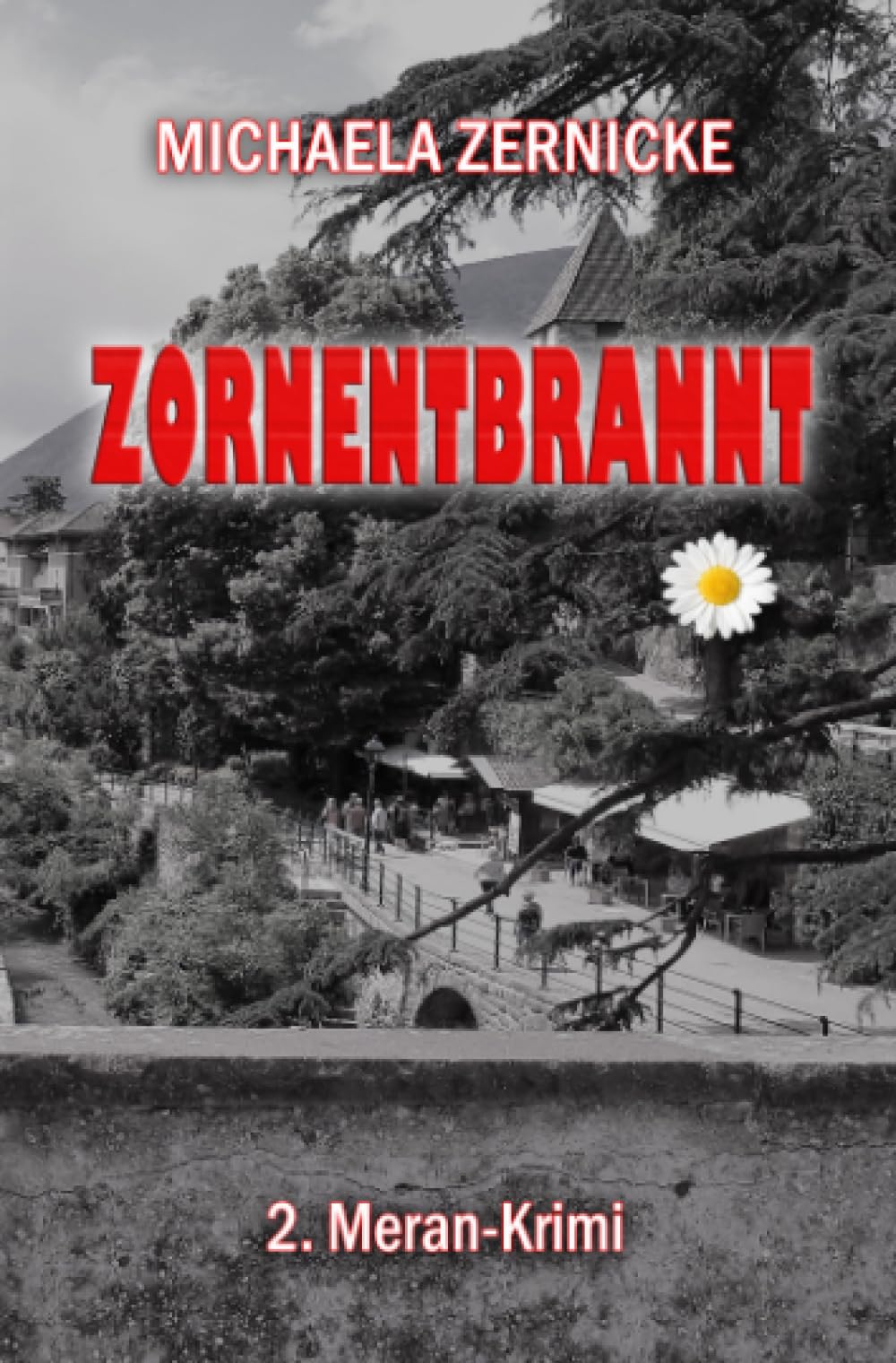 Zornentbrannt: 2. Meran Krimi Contemporary literature