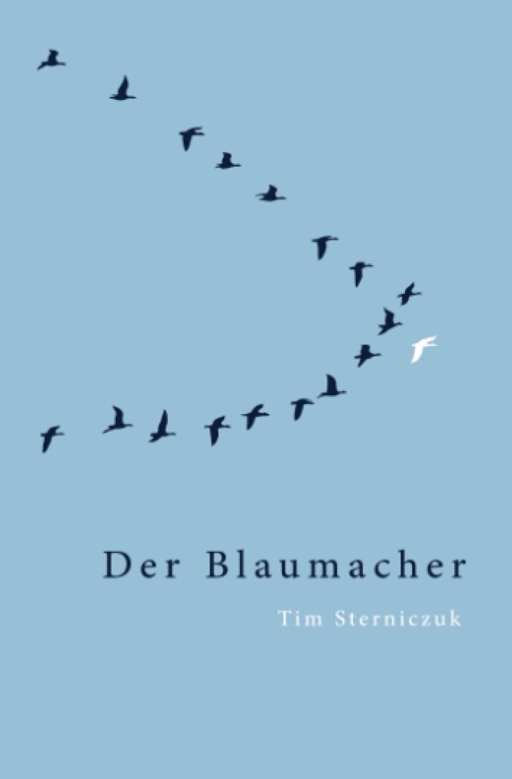 Der Blaumacher: oder warum mutig zu sein so verdammt viel Mut erfordert Contemporary literature