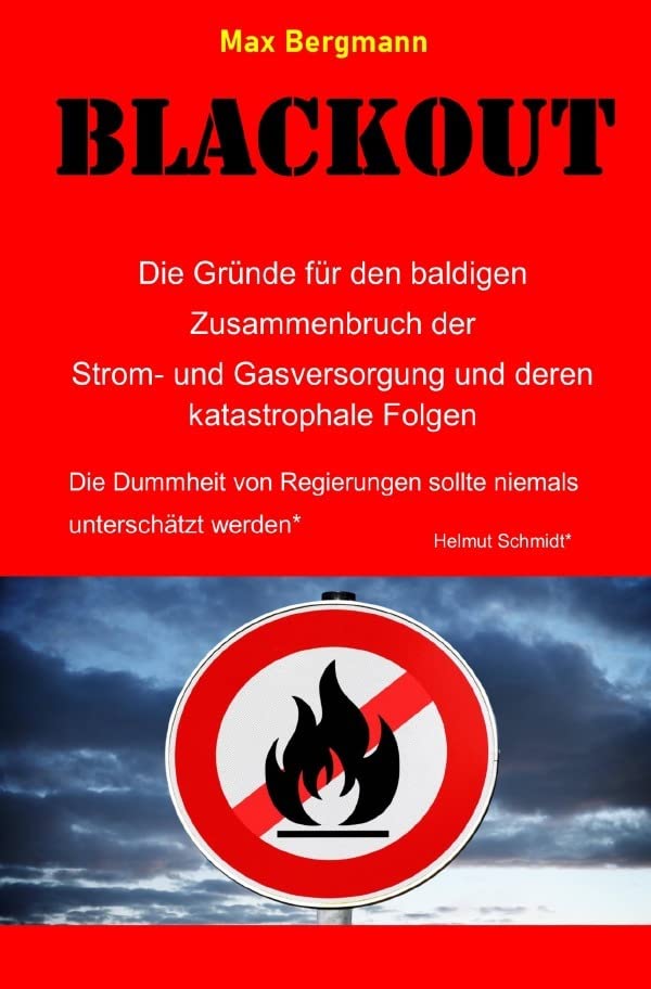 BLACKOUT Die Gründe für den baldigen Zusammenbruch der Strom- und Gasversorgung un deren katastrophale Folgen: Die Dummheit von Regierungen sollte niemals unterschätzt werden* *Helmut Schmidt Business, Finance & Career