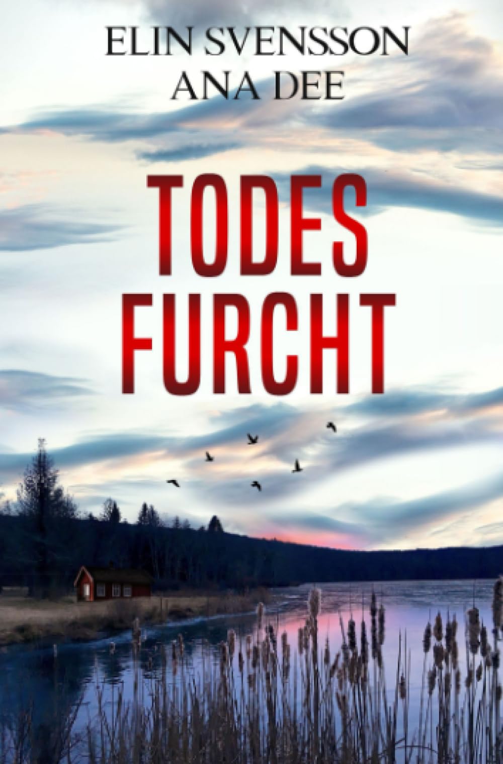 Todesfurcht: Schweden-Krimi (Linda Sventon) Action & Adventure