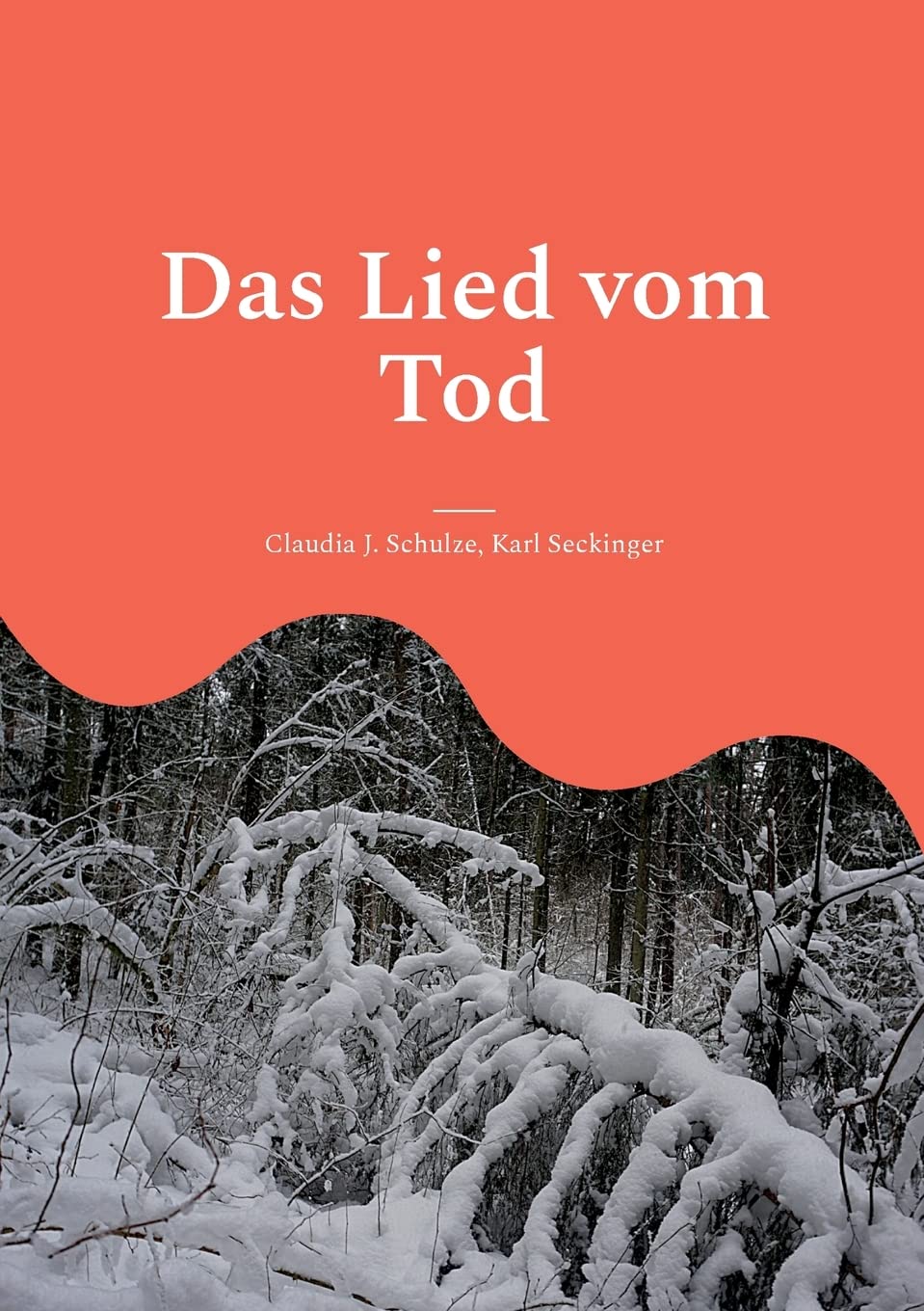 Das Lied vom Tod: Einmal Psychiatrie und zurück Contemporary literature
