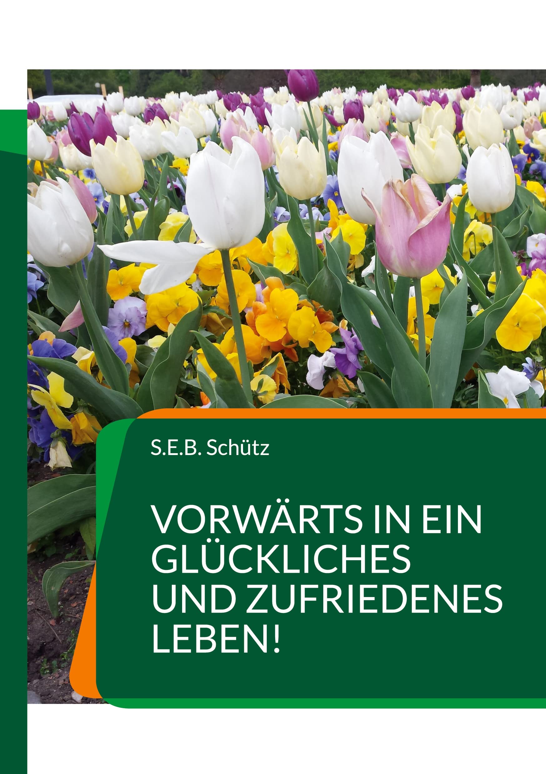 Vorwärts in ein glückliches und zufriedenes Leben! Contemporary literature
