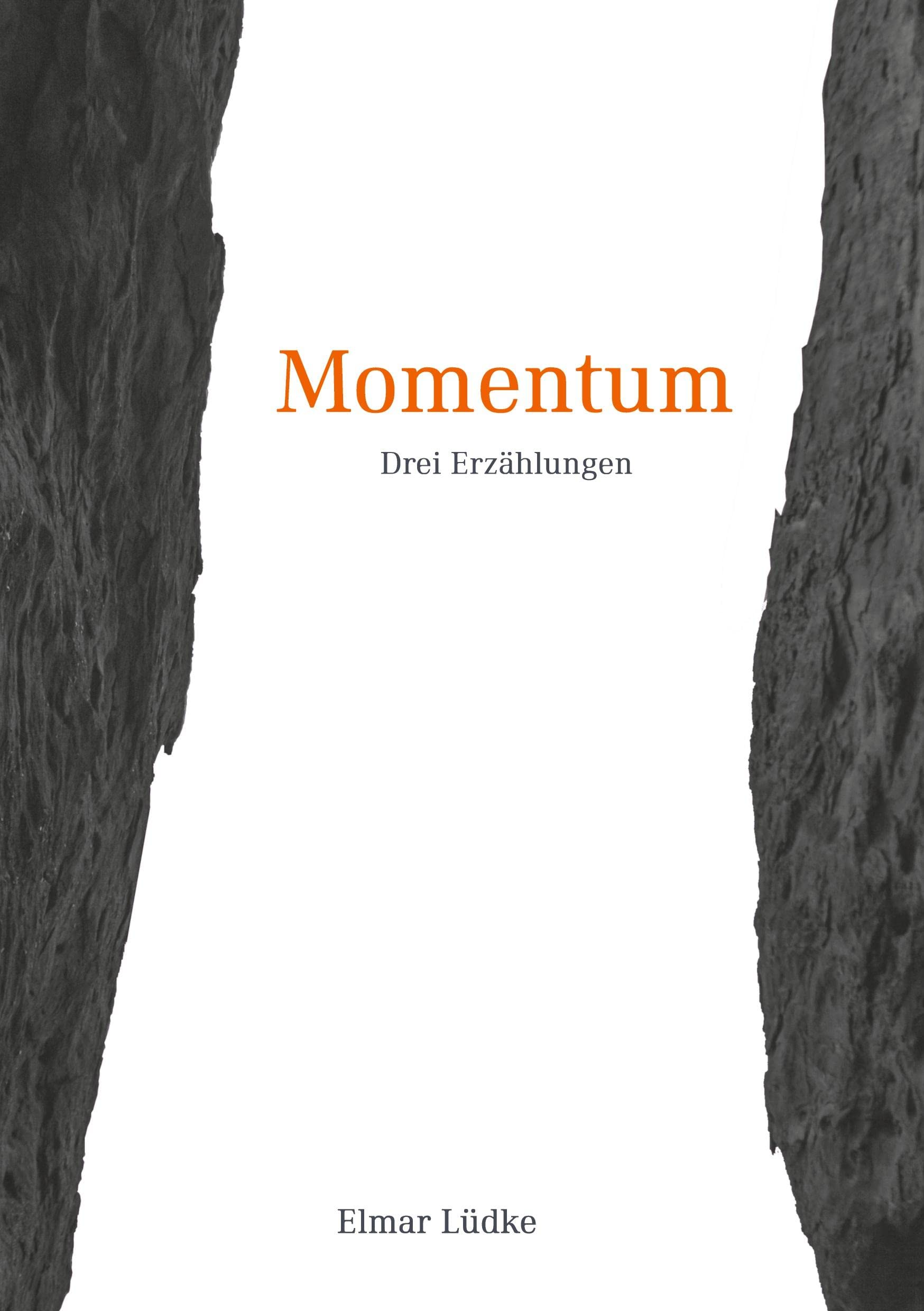 Momentum: 3 Erzählungen Contemporary literature