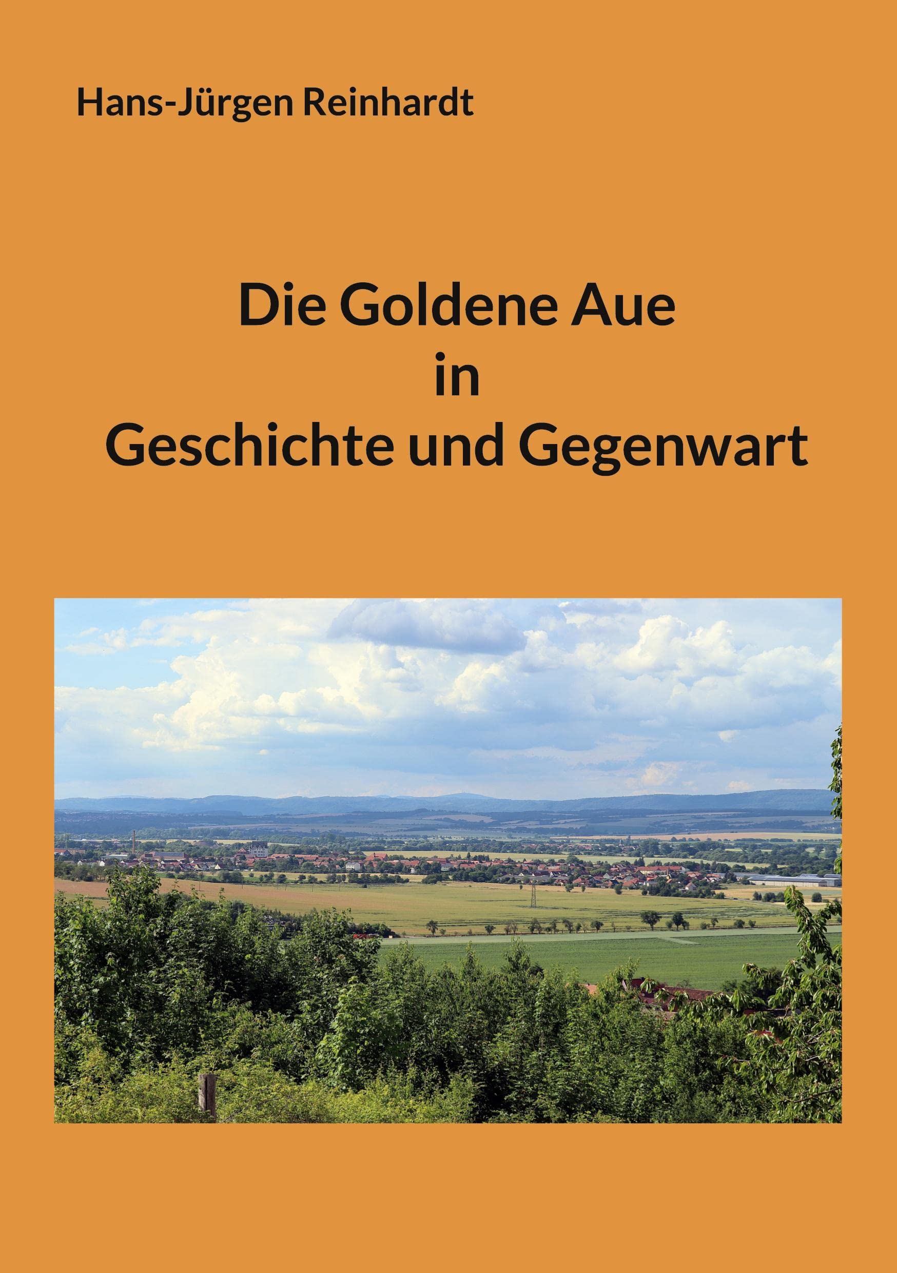 Die Goldene Aue in Geschichte und Gegenwart Books