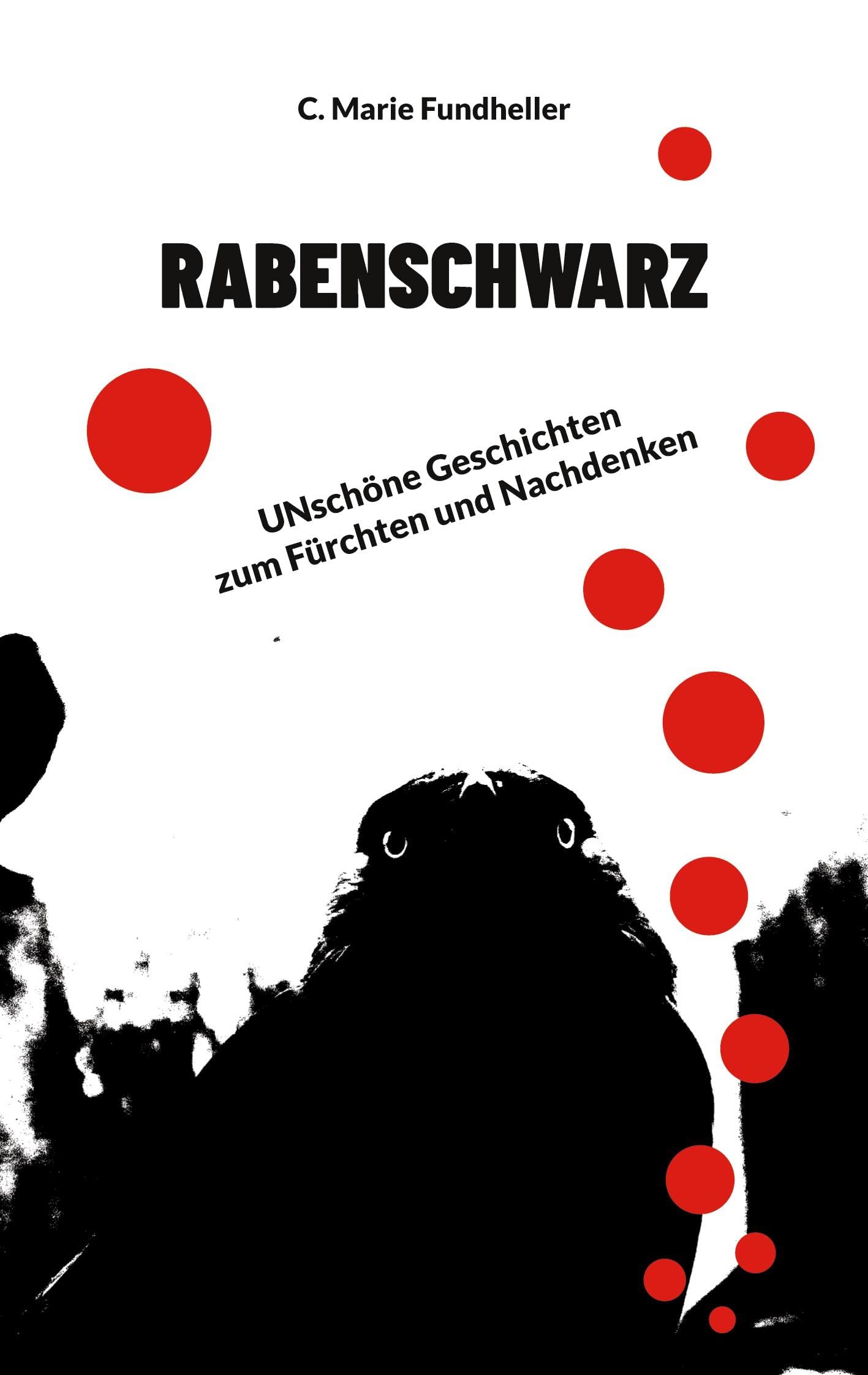 Rabenschwarz: UNschöne Geschichten zum Fürchten und Nachdenken Essays & Short Stories