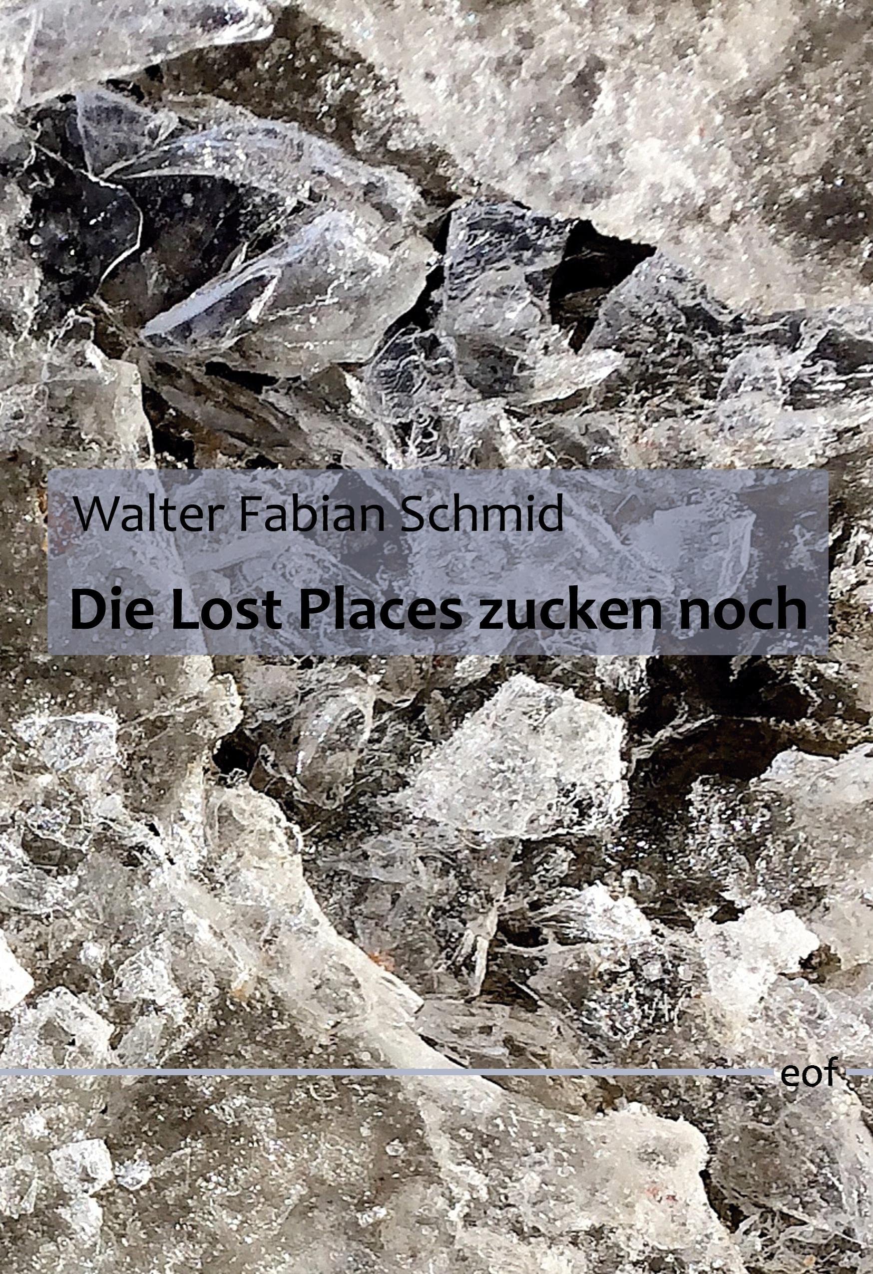 Die Lost Places zucken noch: Gedichte (edition offenes feld) Poetry