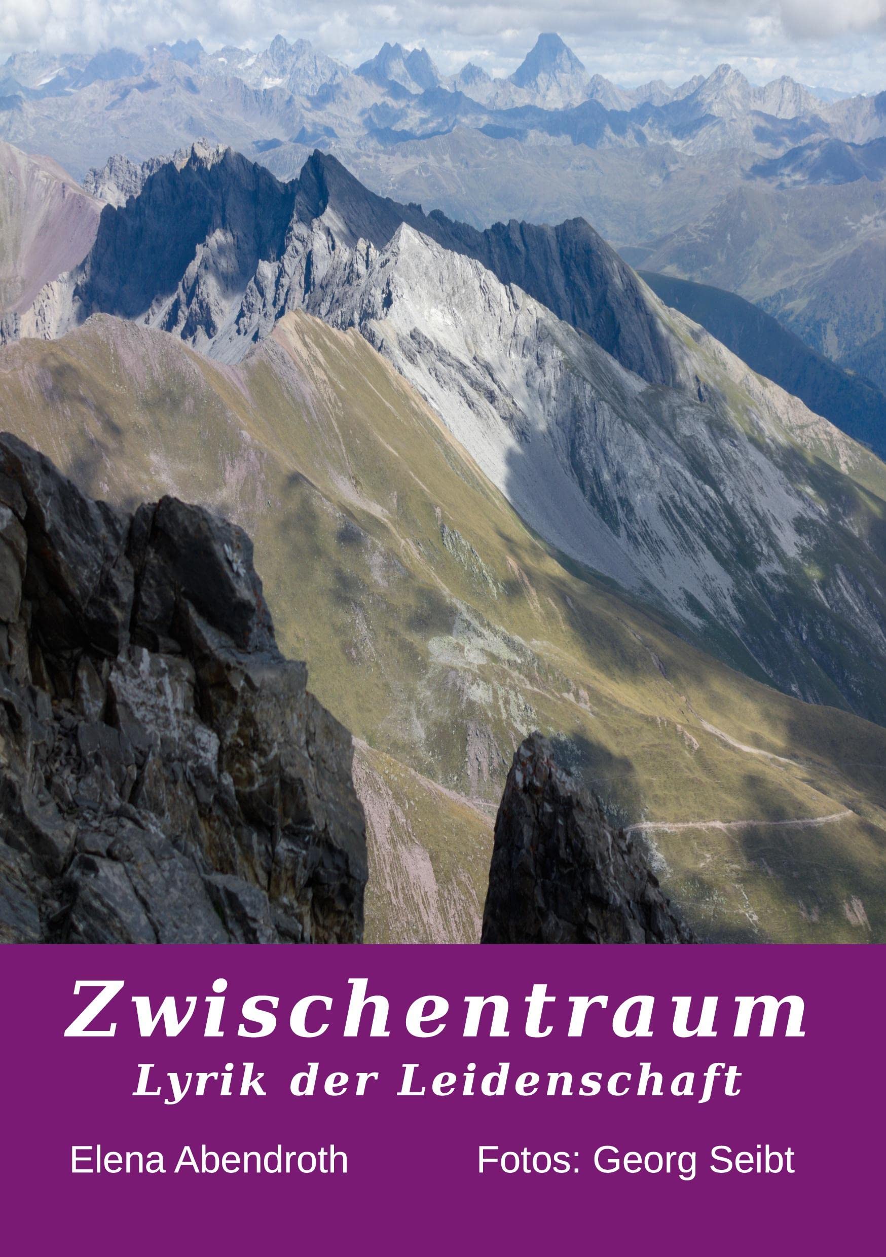 Zwischentraum book