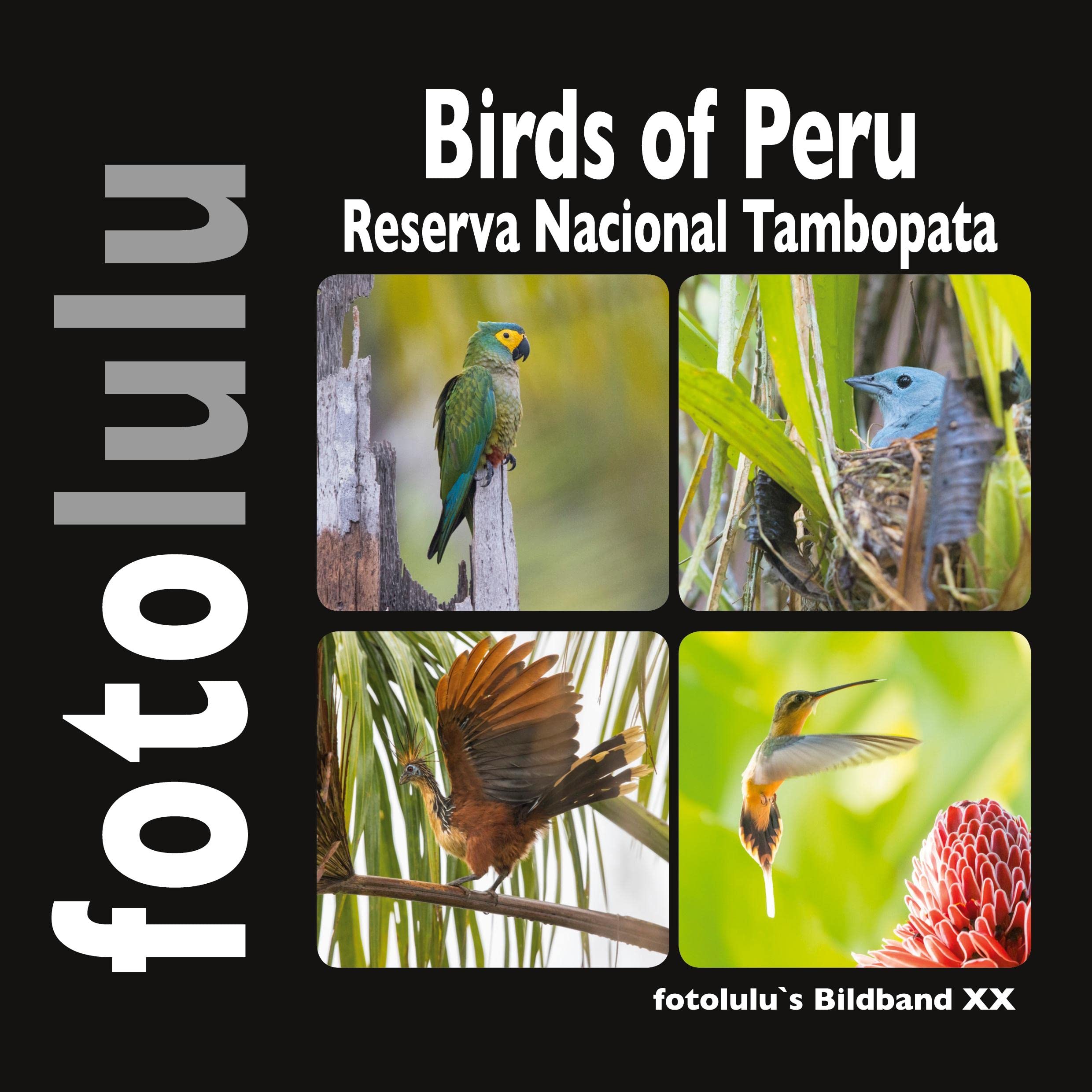 Birds of Peru: Reserva Nacional Tambopata Architecture