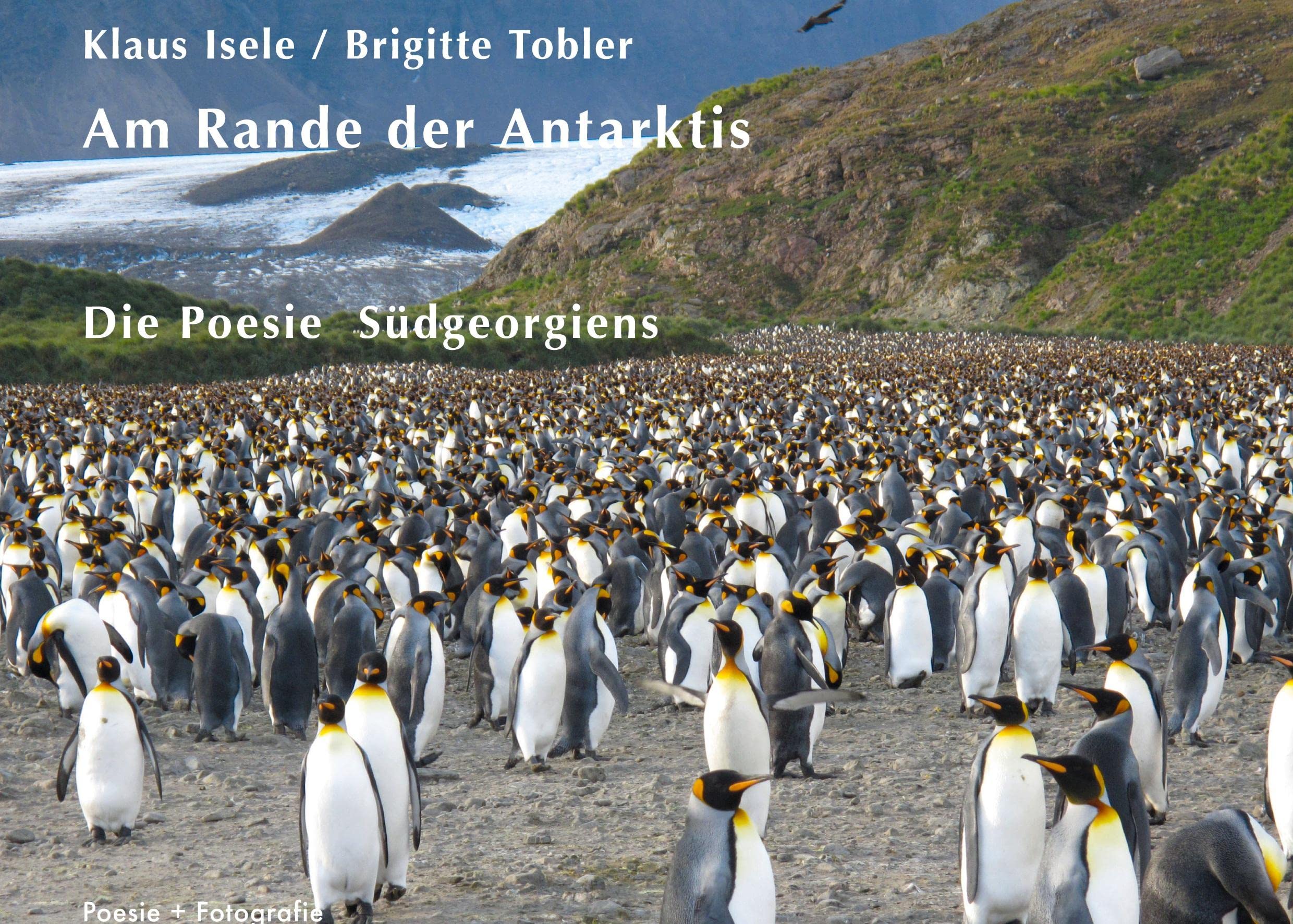 Product Image: Am Rande der Antarktis