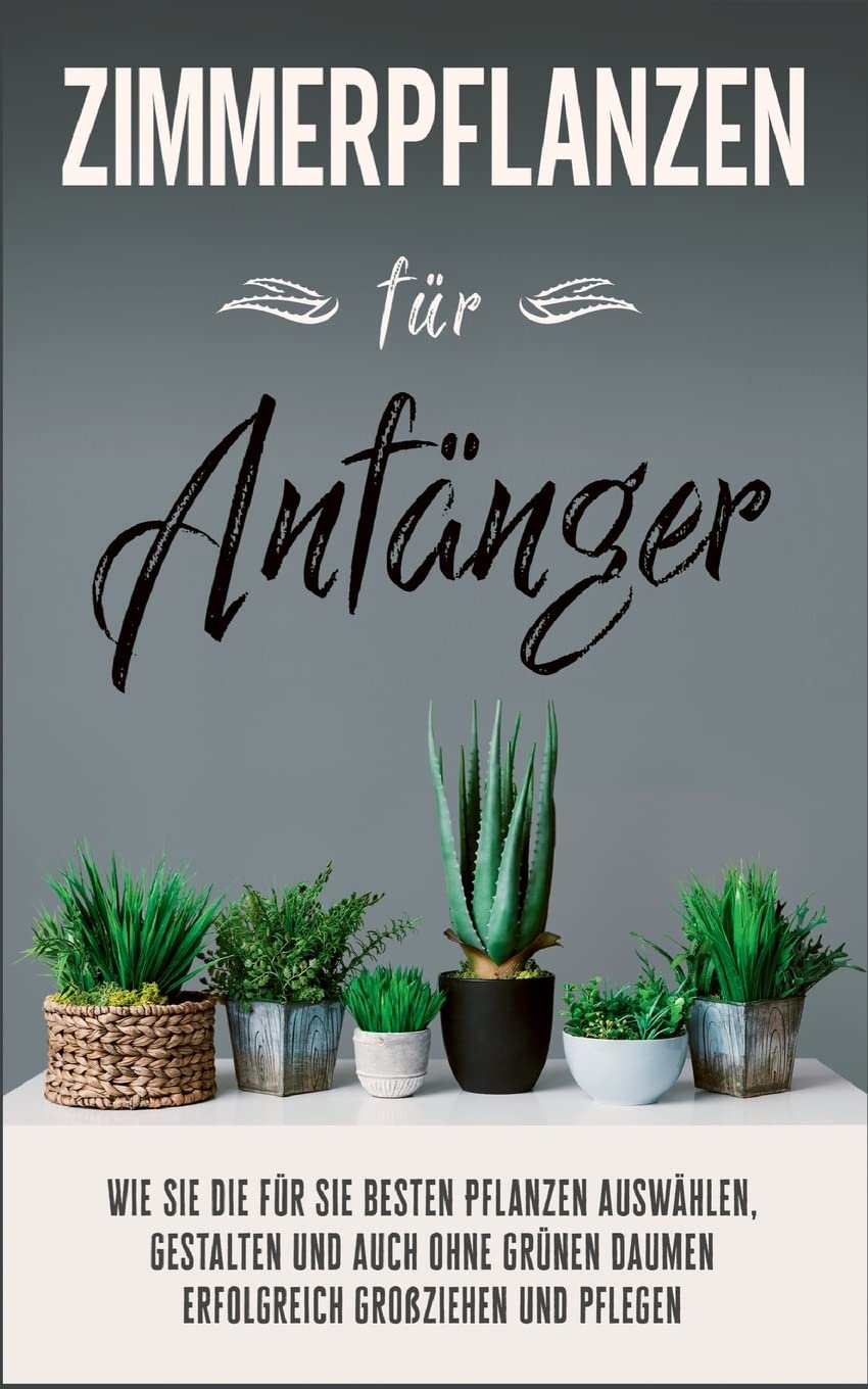 Zimmerpflanzen für Anfänger Garden & Plants