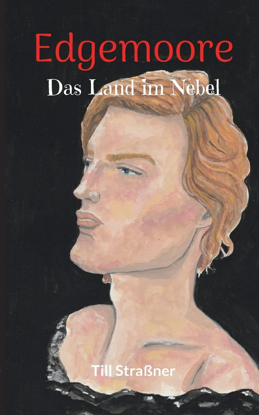 Edgemoore: Das Land im Nebel (Edgemoore-Zyklus) Contemporary literature