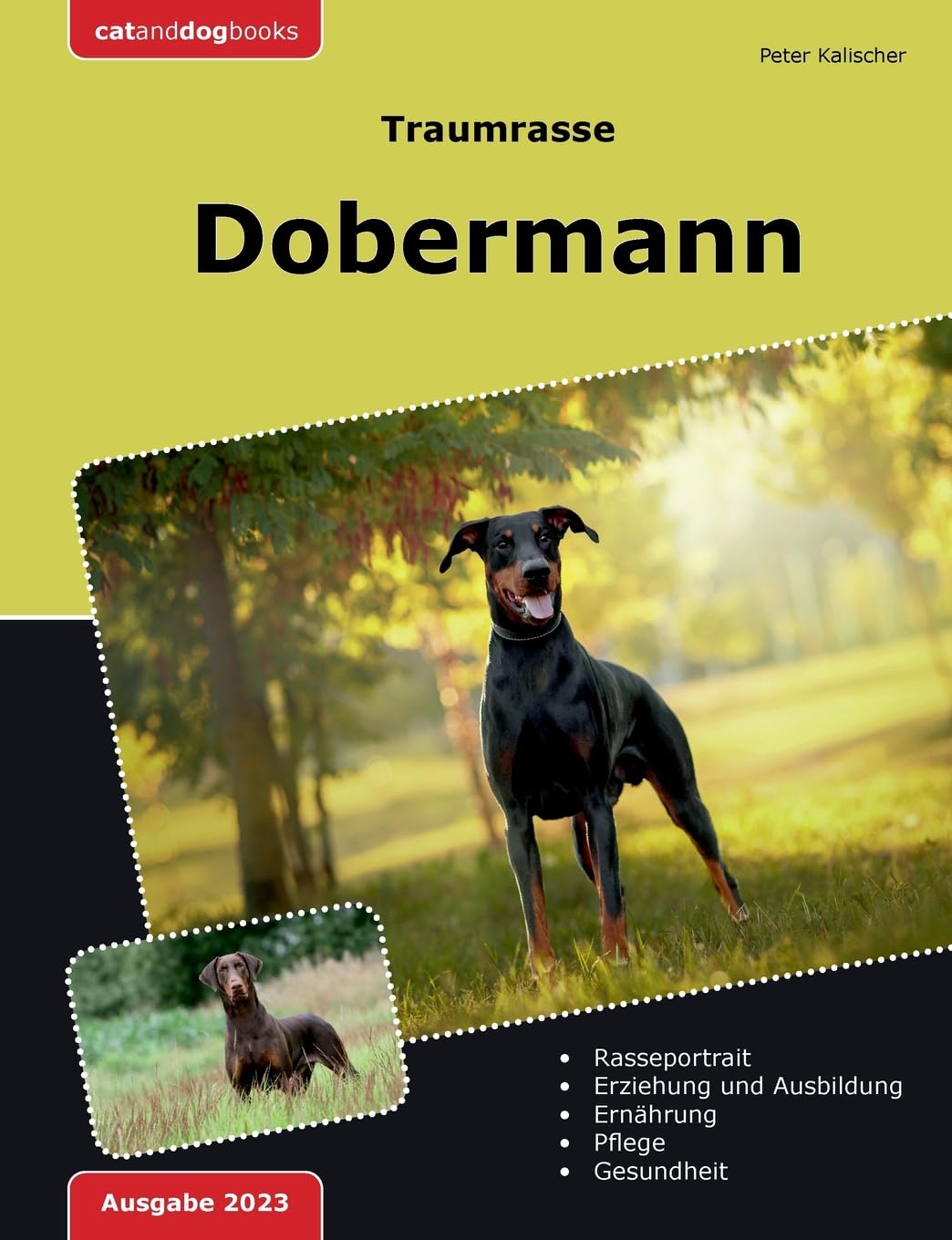 Product Image: Traumrasse: Dobermann