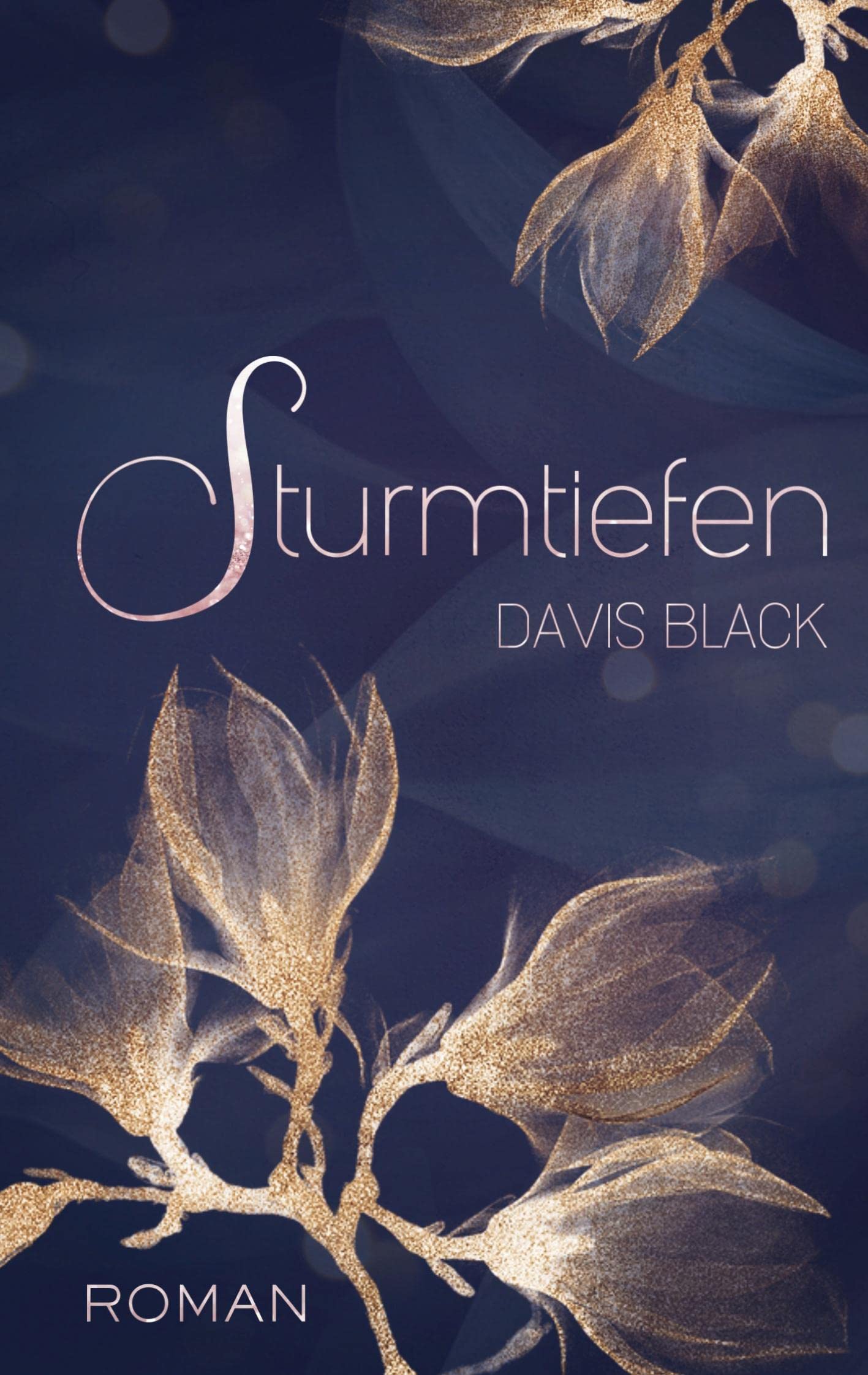 Sturmtiefen book