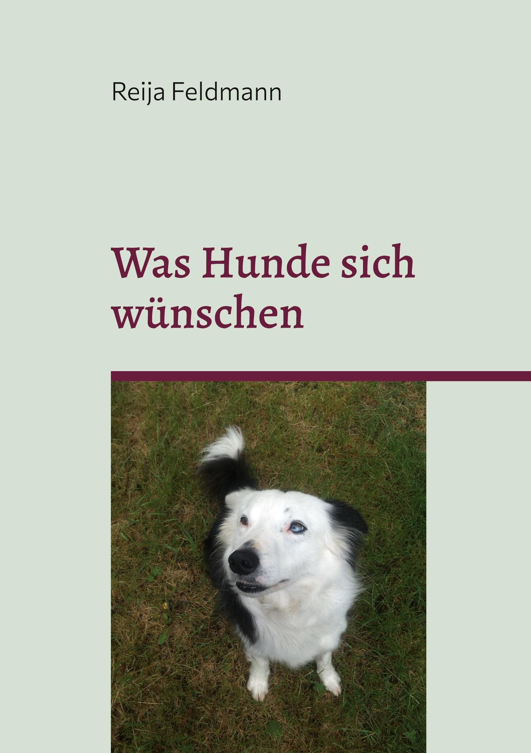 Was Hunde sich wünschen: Ein kleiner Leitfaden für Menschen mit und ohne Hund. Pets