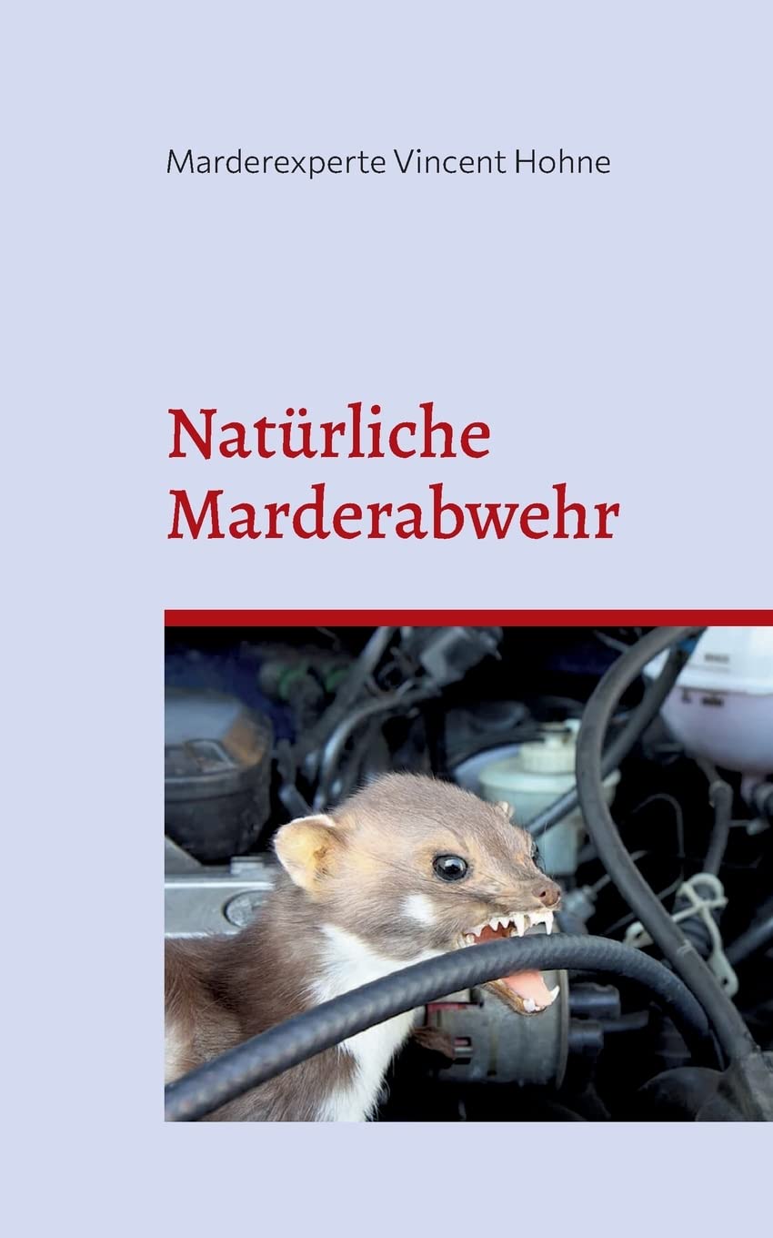 Natürliche Marderabwehr: Schützt zuverlässig Heim und Auto Lifestyle