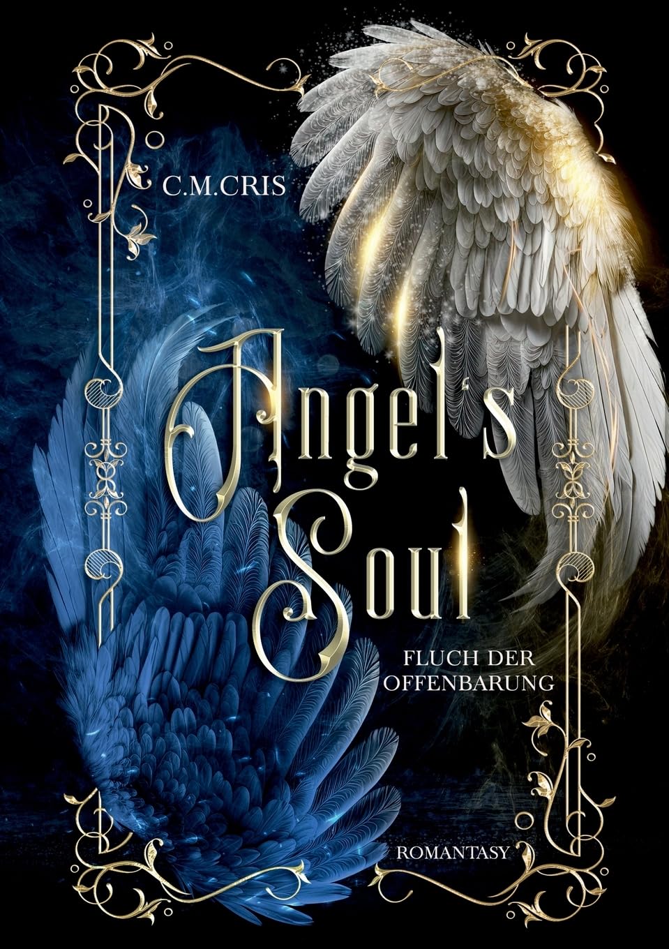 Angel's Soul Contemporary literature Books