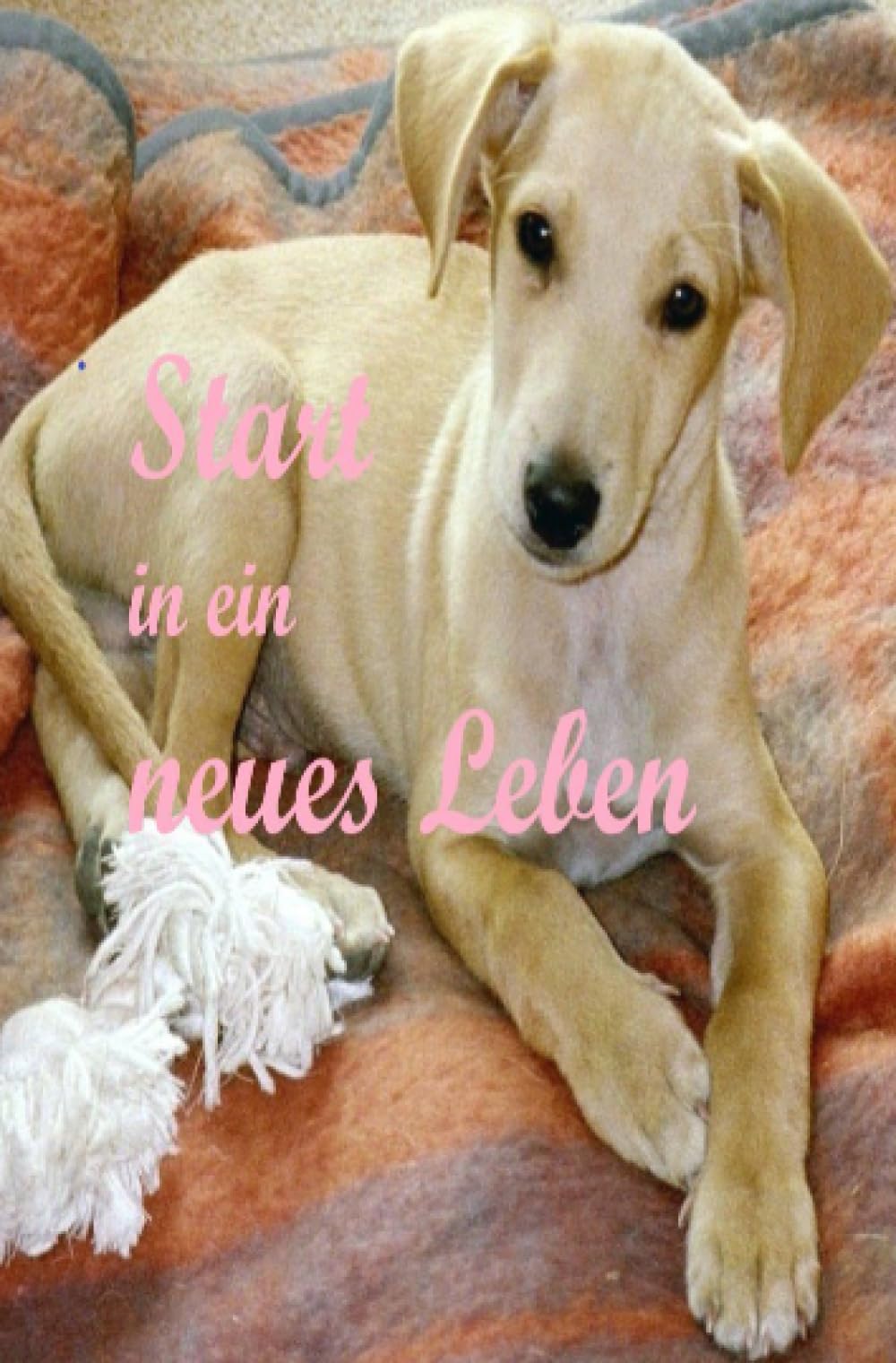 Start in ein neues Leben: Hunde lieben und erleben Personalities