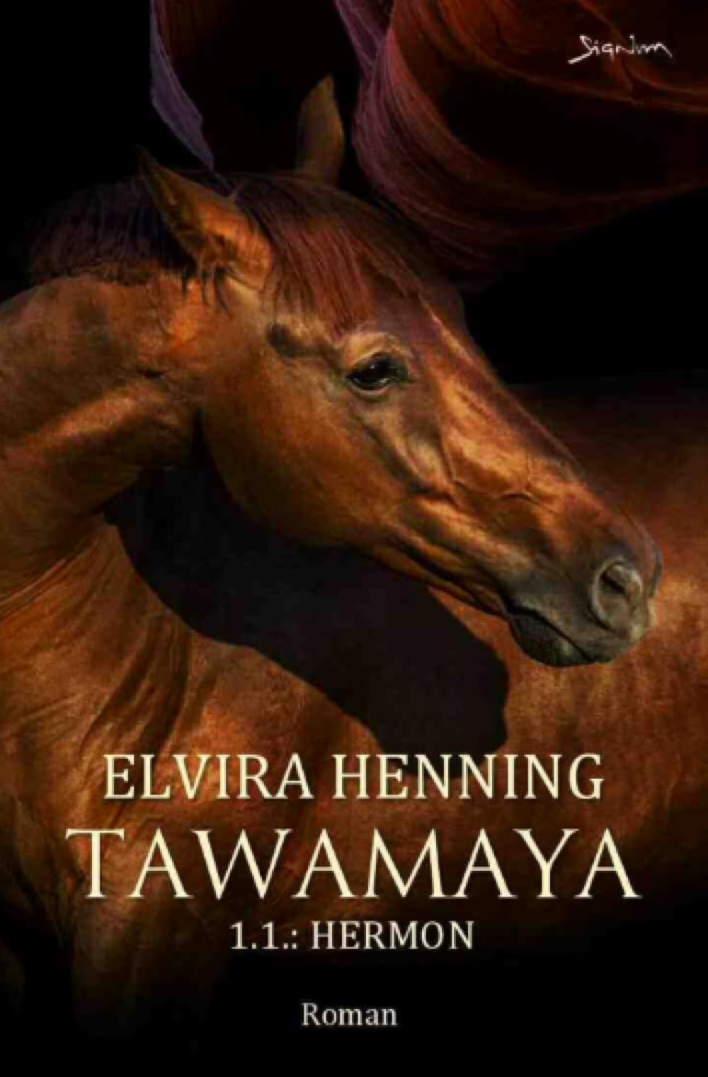 Tawamaya - 1.1.: Hermon: Ein historischer Roman Action & Adventure