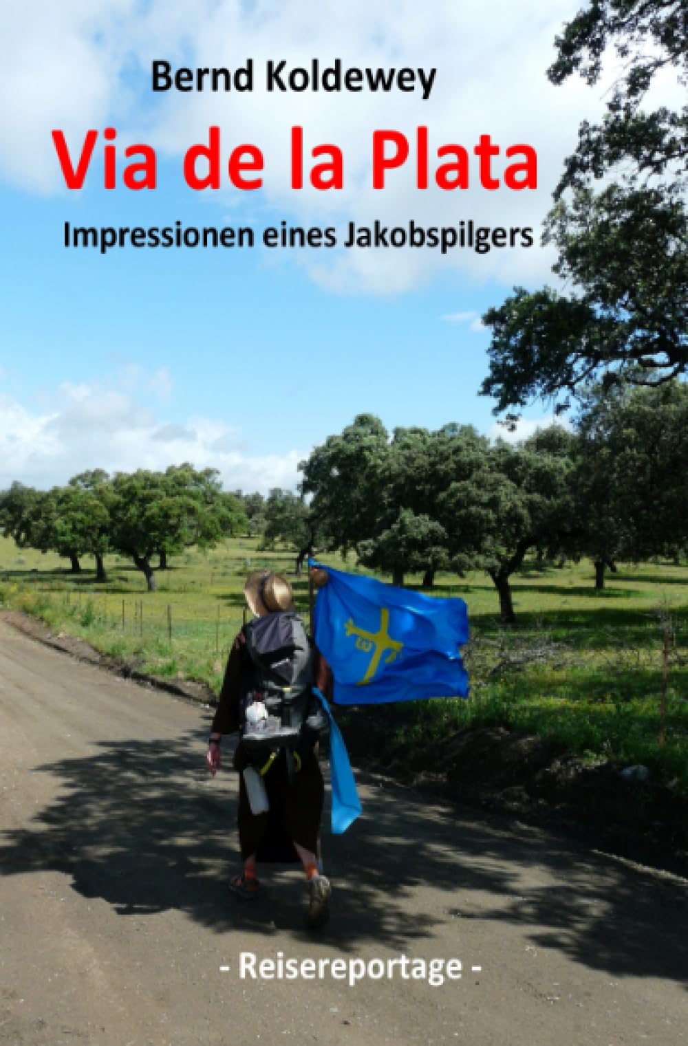 Via de la Plata - Impressionen eines Jakobspilgers: Von Sevilla bis nach Santiago de Compostela Leisure, Home & Garden