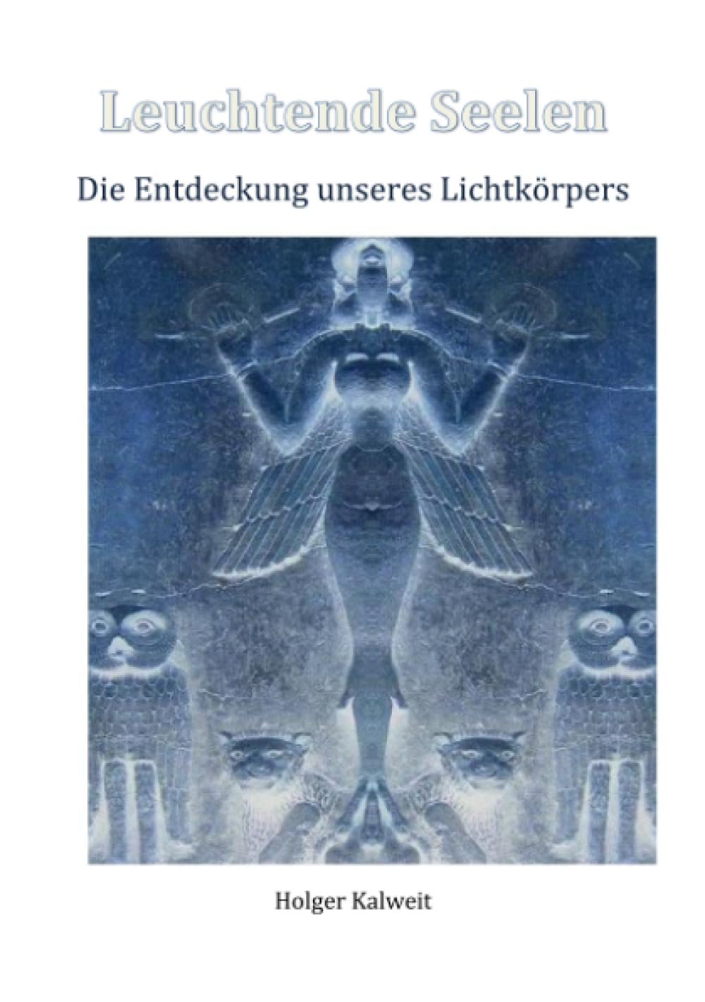 Leuchtende Seelen: Die Entdeckung unseres Lichtkörpers Business & Technology