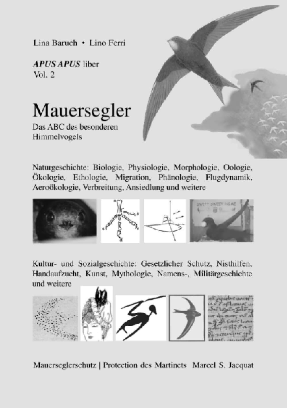 APUS APUS liber, vol. 2. Mauersegler: Das ABC des besonderen Himmelvogels Mathematics