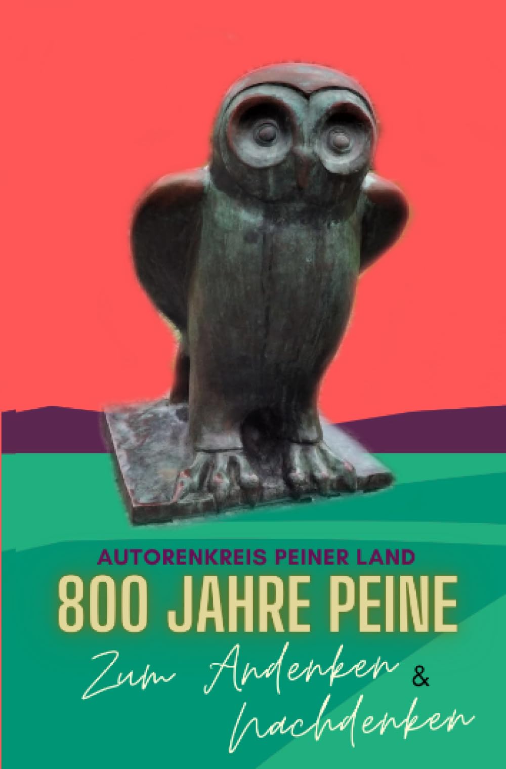 800 Jahre Peine - Zum Andenken & Nachdenken Contemporary literature