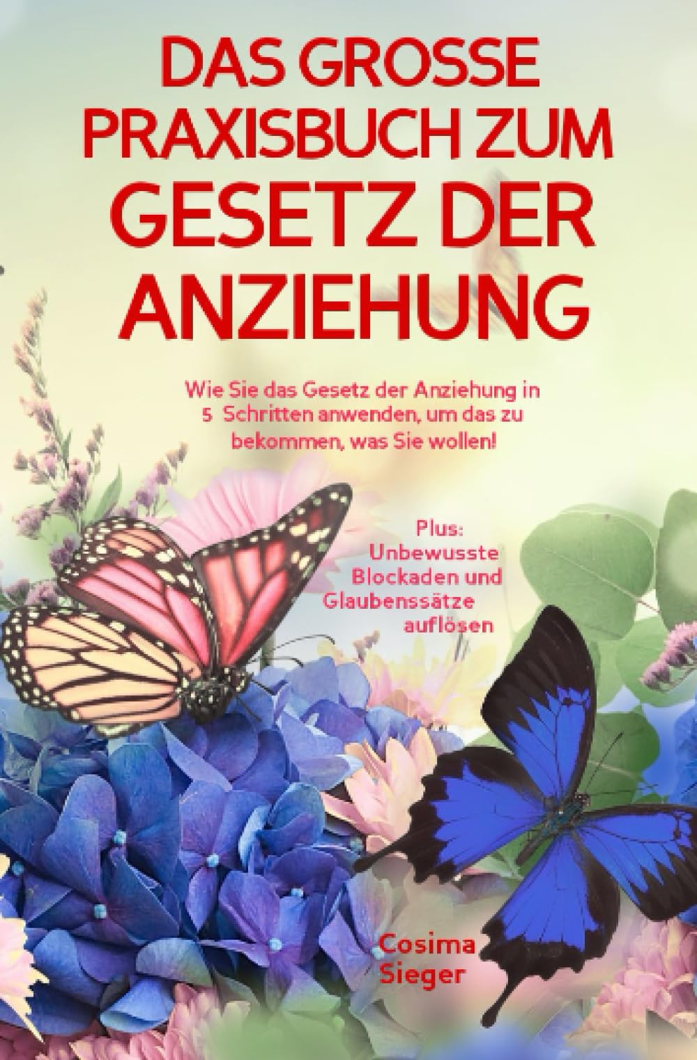 DAS GROSSE PRAXISBUCH ZUM GESETZ DER ANZIEHUNG! Wie Sie das Gesetz der Anziehung in 5 Schritten anwenden, um das zu bekommen, was Sie wollen!: Plus: Unbewusste Blockaden und Glaubenssätze auflösen Lifestyle