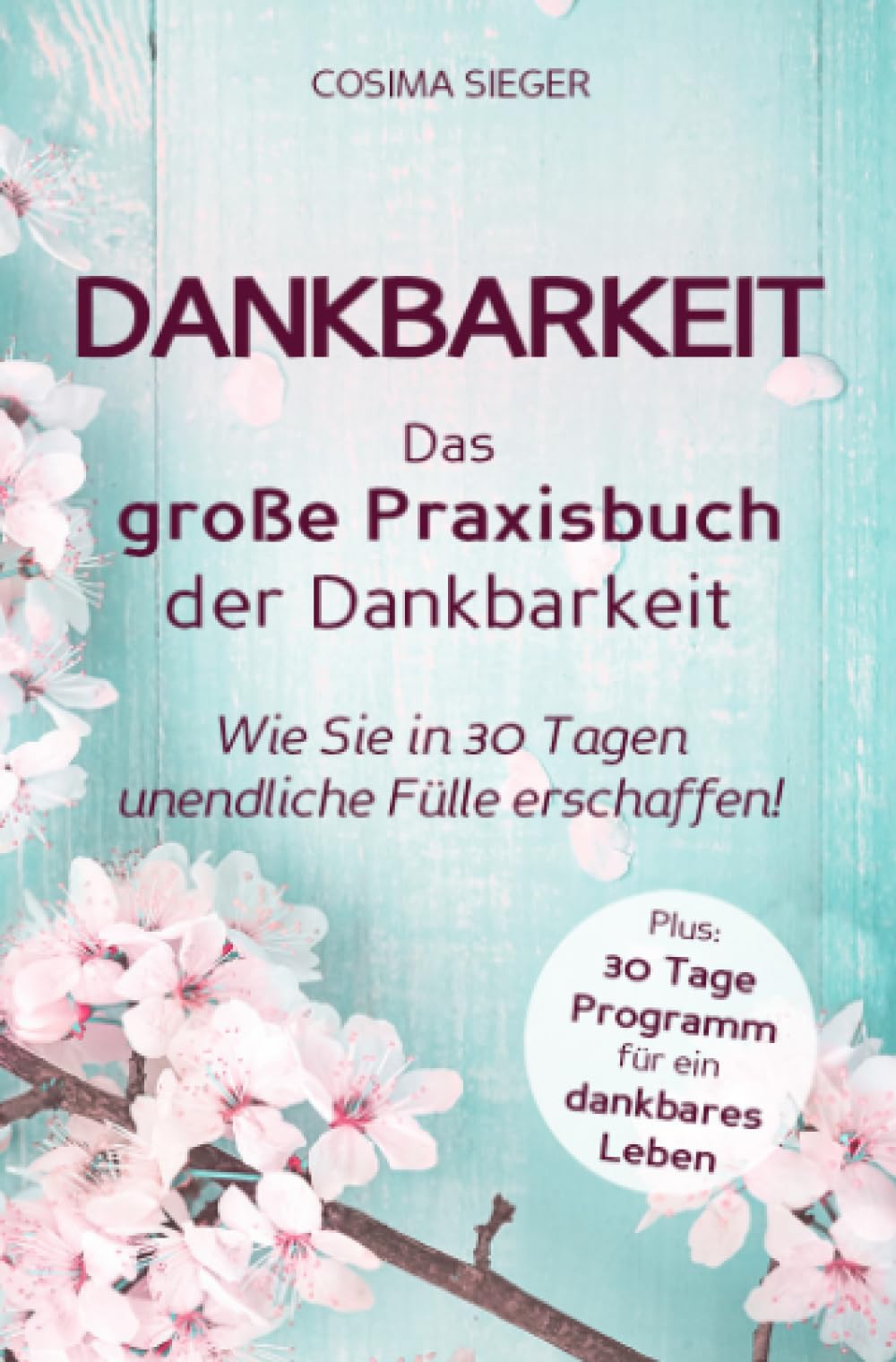 Dankbarkeit: DAS GROSSE PRAXISBUCH DER DANKBARKEIT: Wie Sie in 30 Tagen unendliche Fülle erschaffen! (Plus: 30 Tage Programm für ein dankbares Leben) Business, Finance & Career