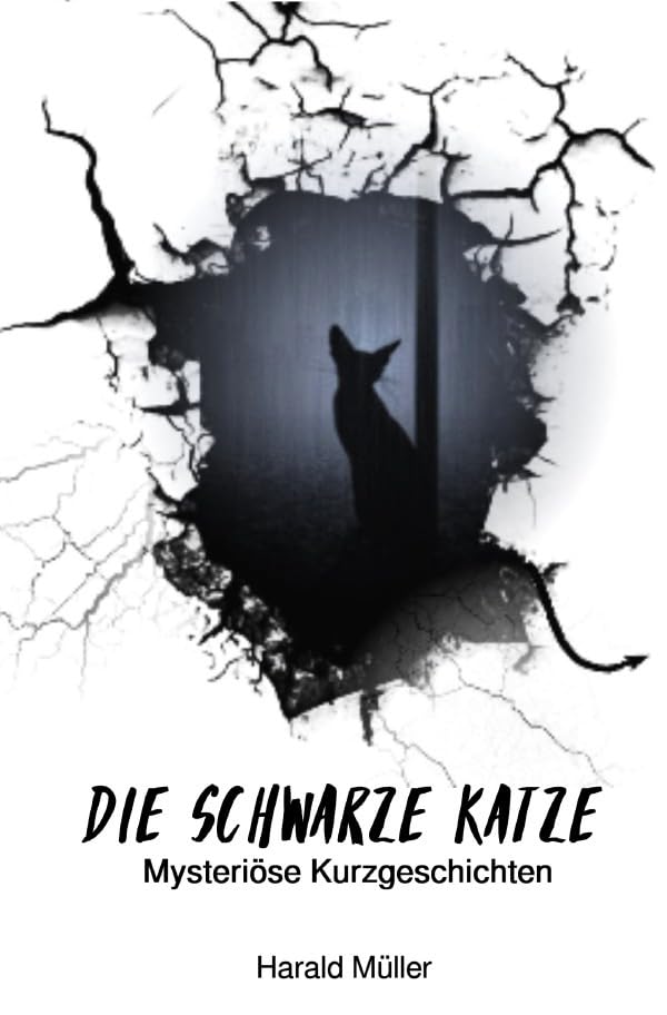 Die schwarze Katze - Mysteriöse Kurzgeschichten: DE Contemporary literature