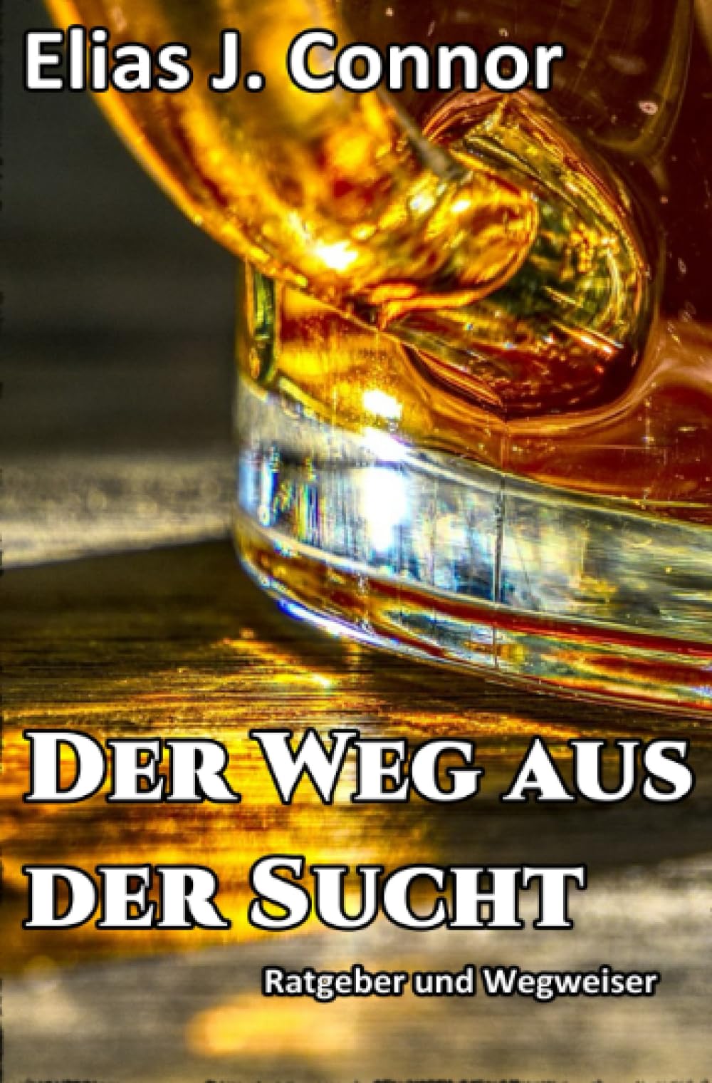 Der Weg aus der Sucht - Ratgeber und Wegweiser Politics & History