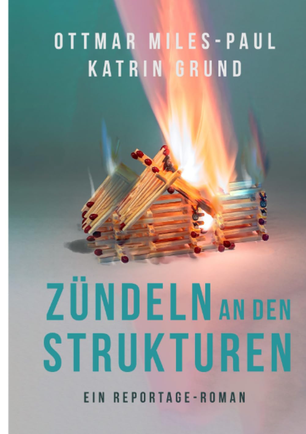 Zündeln an den Strukturen: Ein Reportage-Roman Social Sciences
