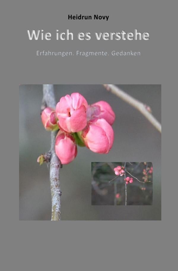 Wie ich es verstehe: Erfahrungen, Fragmente, Gedanken Philosophy
